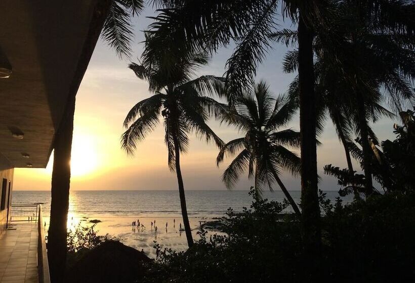 Pension Les Palmiers