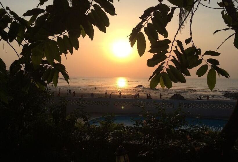 Pension Les Palmiers