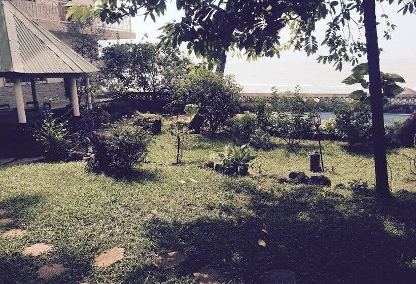 Pension Les Palmiers