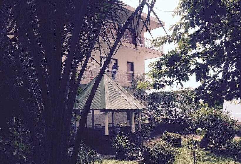 Pension Les Palmiers