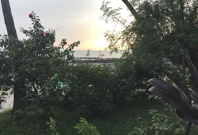 Pension Les Palmiers