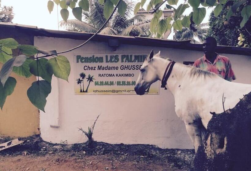 Pension Les Palmiers