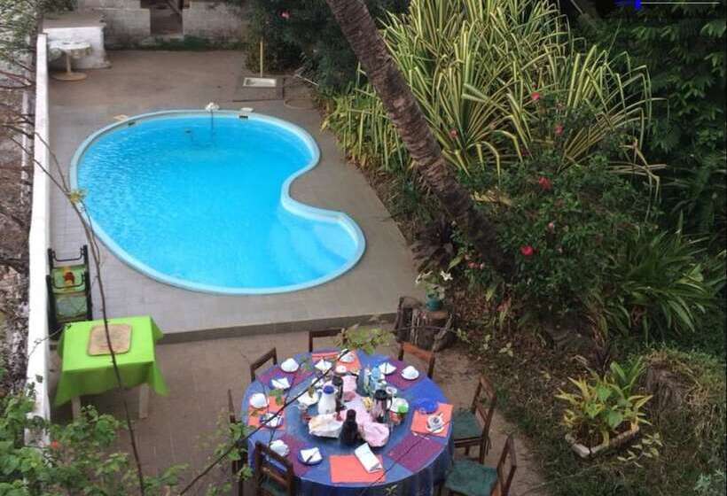 Pension Les Palmiers