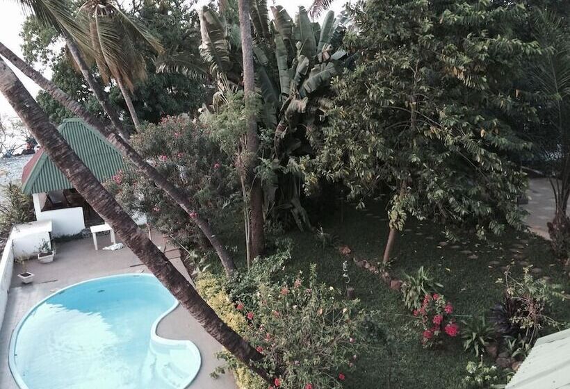 Pension Les Palmiers