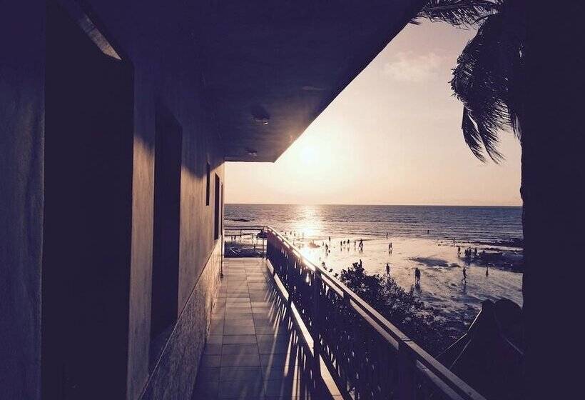 Pension Les Palmiers