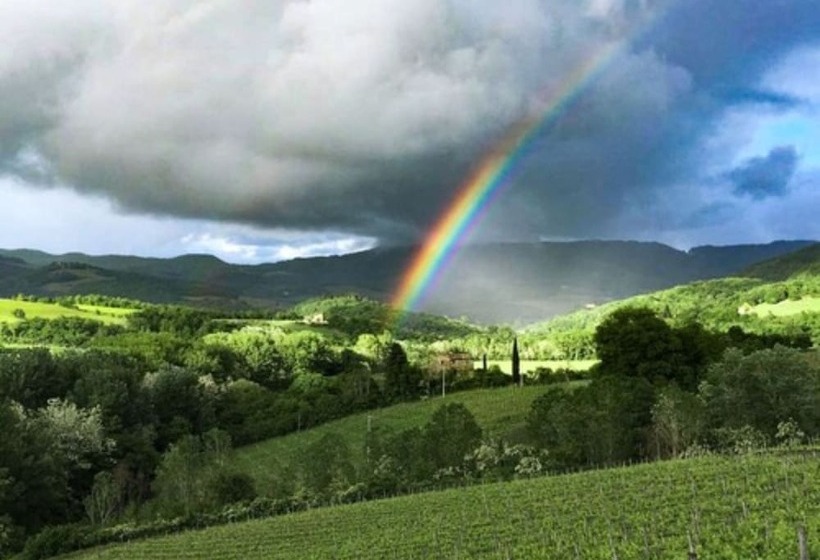 Tenuta Cortedomina