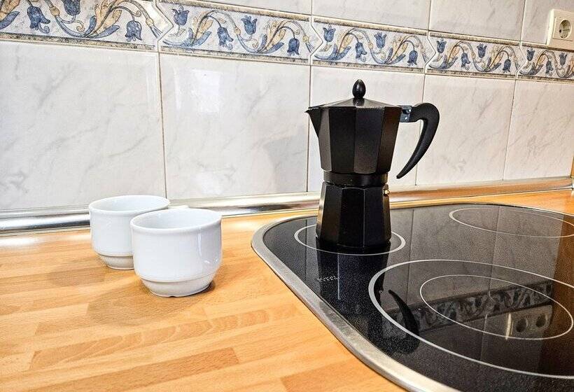 Apartamentos Gavín Biescas 3000