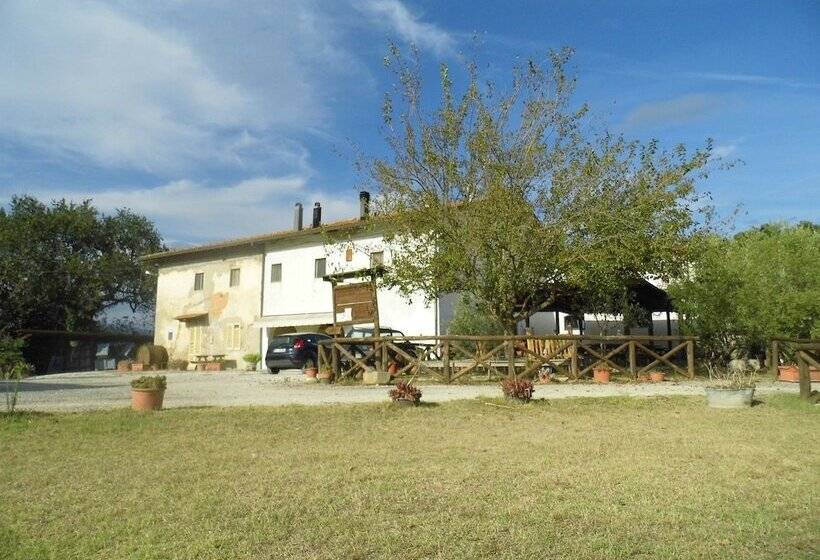 בית מלון כפרי Agriturismo Le Baccane