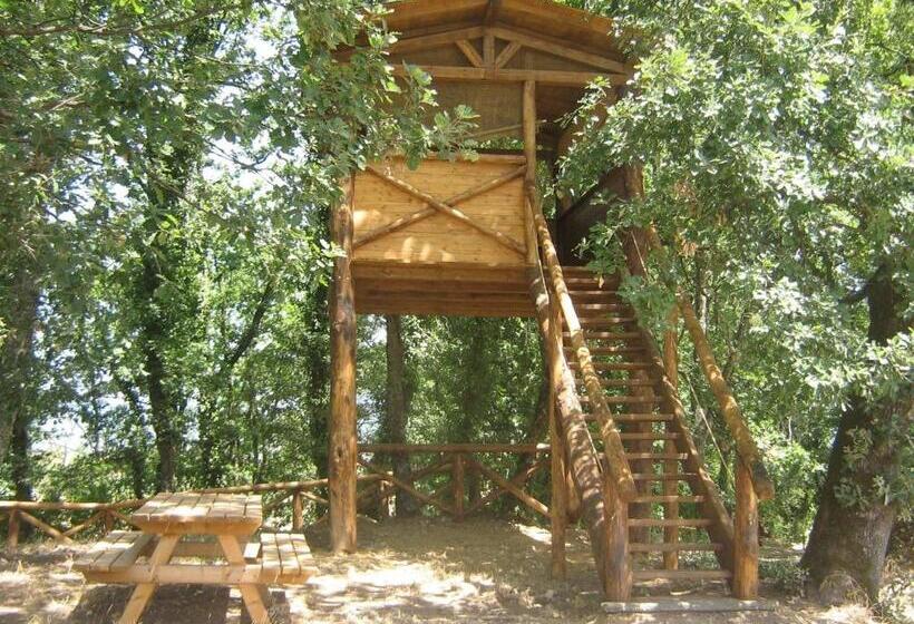 בית מלון כפרי Agriturismo Le Baccane