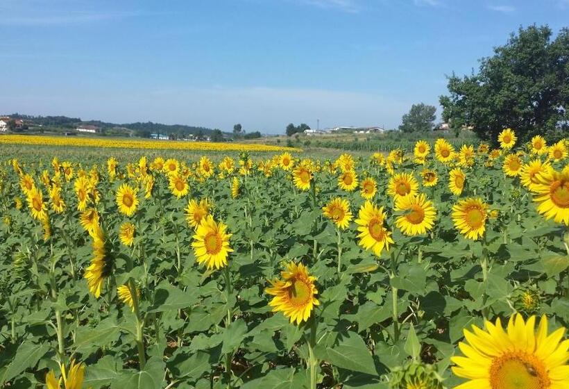 בית מלון כפרי Agriturismo Le Baccane