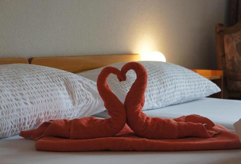 בית מלון כפרי Garni Alpenhof