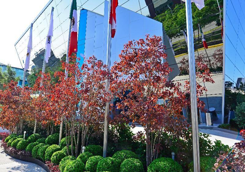 Baruk Guadalajara Hotel De Autor