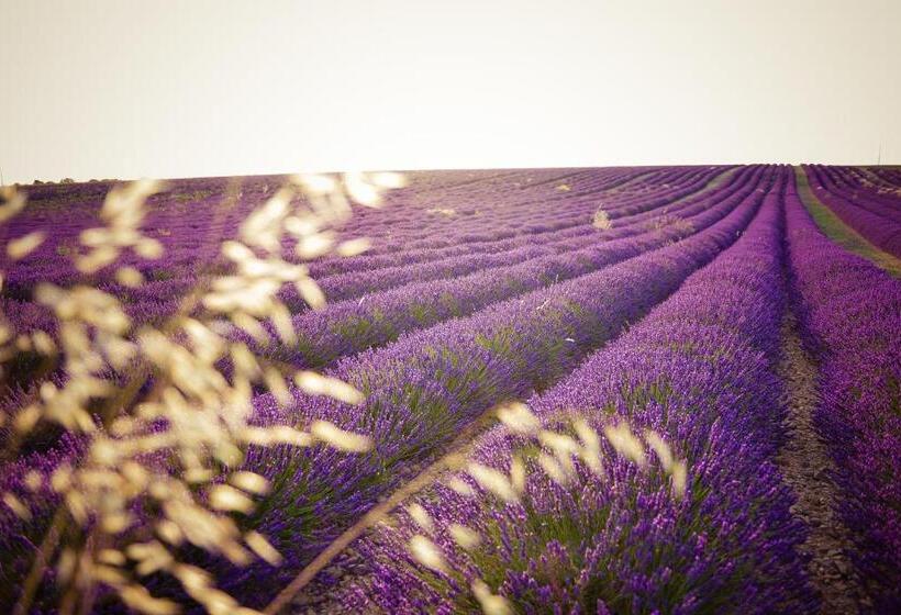 Brit Hotel Confort Manosque Cadarache