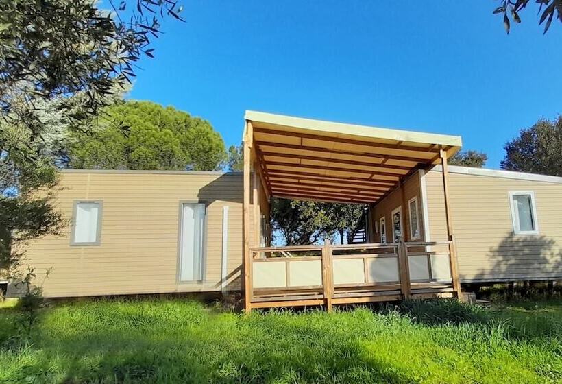 Отель Camping Tikayan Les Cigales