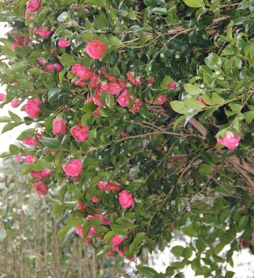 酒店 Casa Concerto