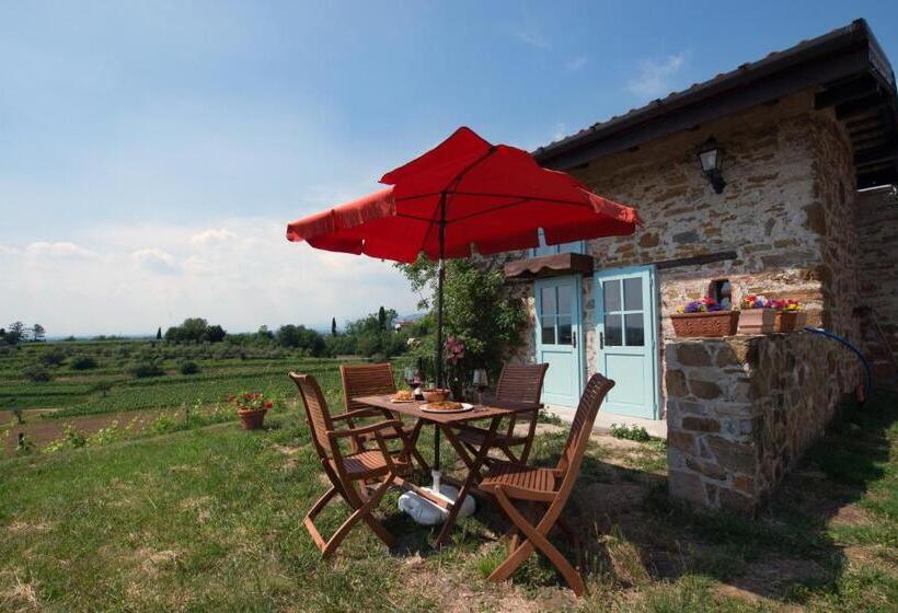 酒店 Casali Del Picchio   Winery