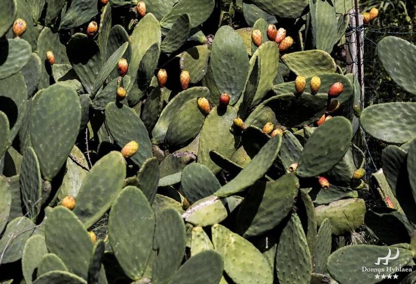 Отель Domus Hyblaea Resort