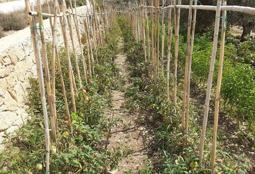 בית מלון כפרי Domus Hyblaea Resort