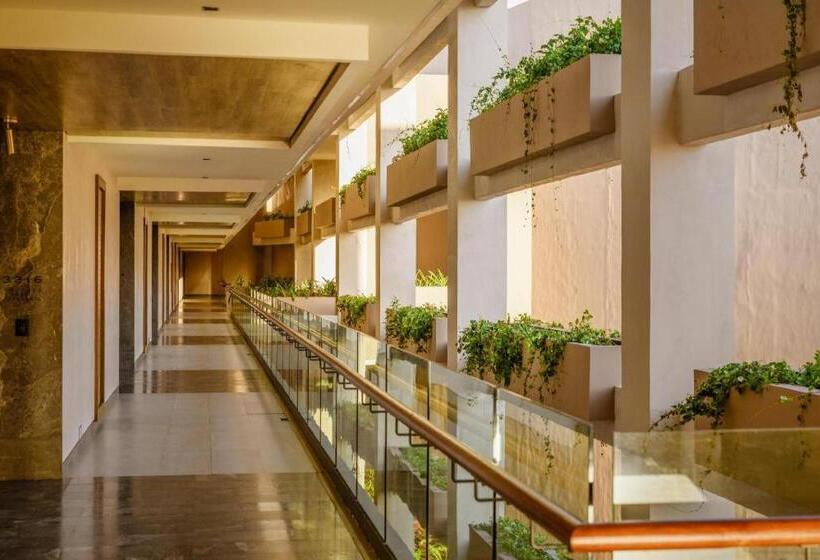 هتل Estudio Playa Mujeres – All Inclusive