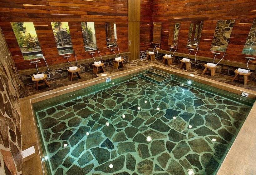 Отель Galeria Plaza Irapuato