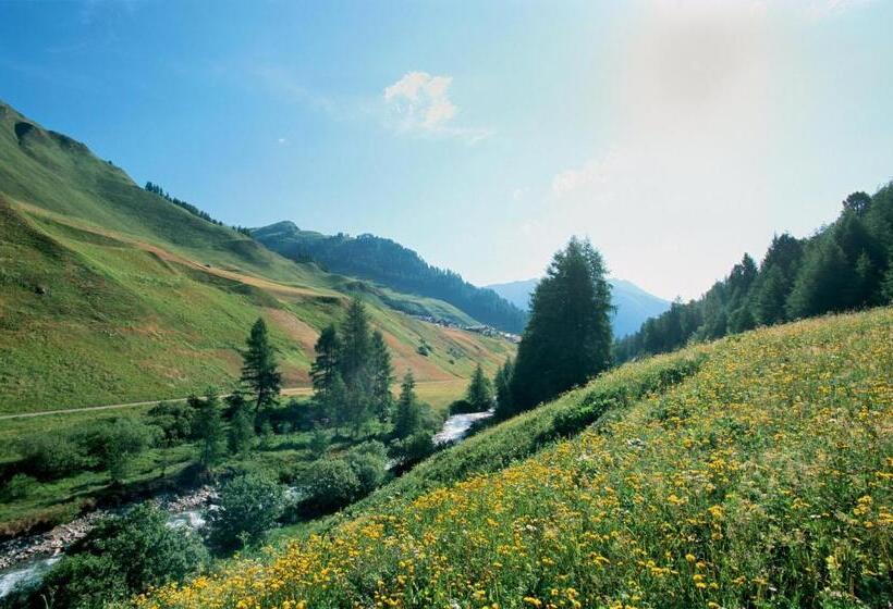 酒店 Garni Chasa Nova