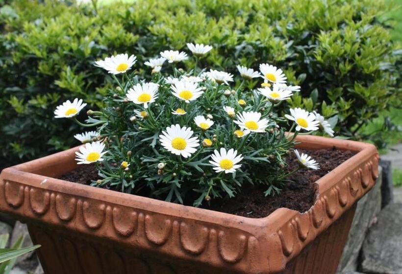 호텔 Garni Degli Angioli