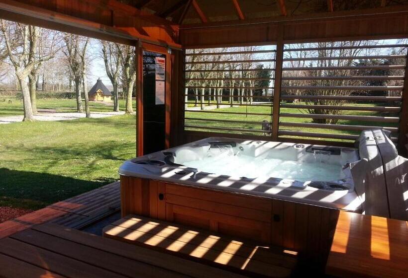 فندق Le Château Des Lumières De La Baie De Somme Chambre D Hôtes De Charme