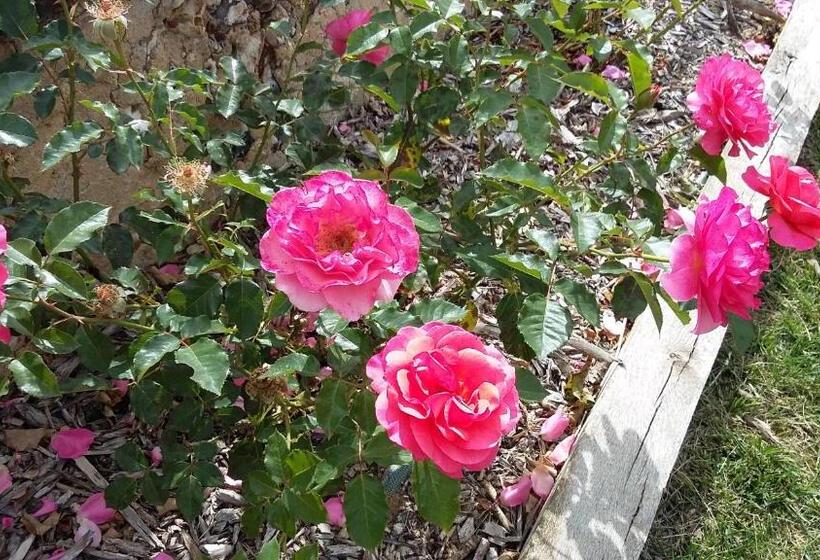 בית מלון כפרי Les Aubepines