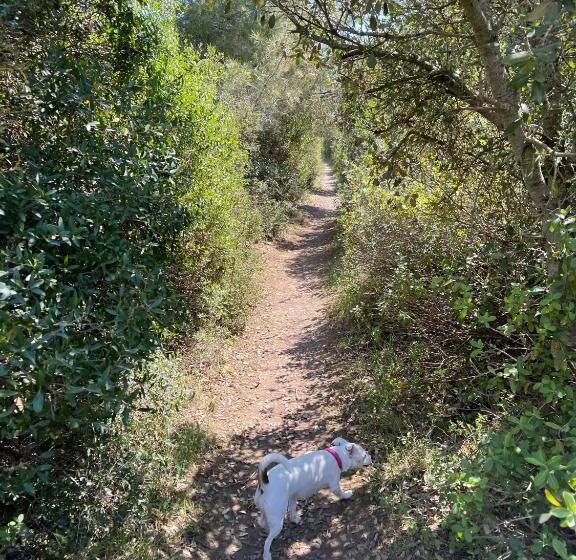 호텔 Les Terrasses De La Mer