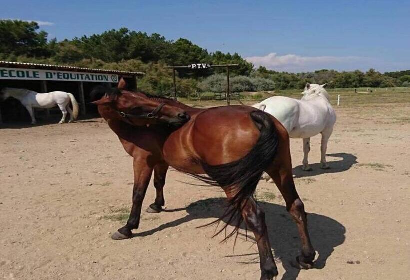 호텔 Les Terrasses De La Mer