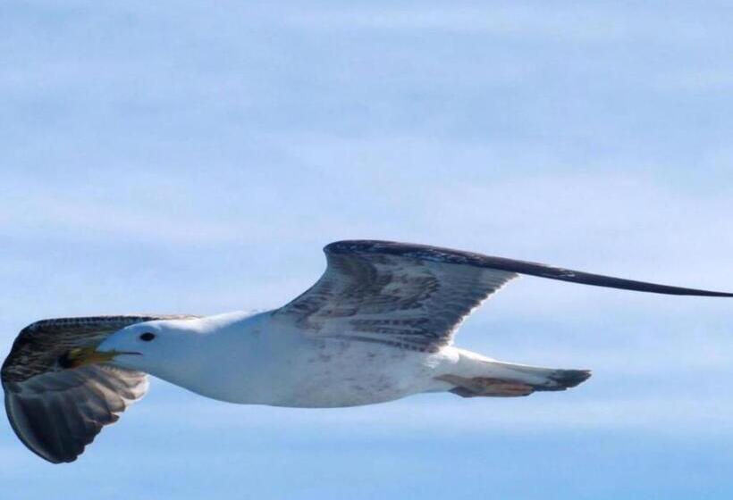 호텔 Les Terrasses De La Mer