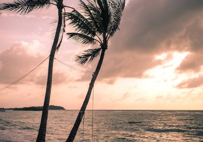 호텔 Lub D Koh Samui Chaweng Beach Beachfront & Vibrant Social Vibe