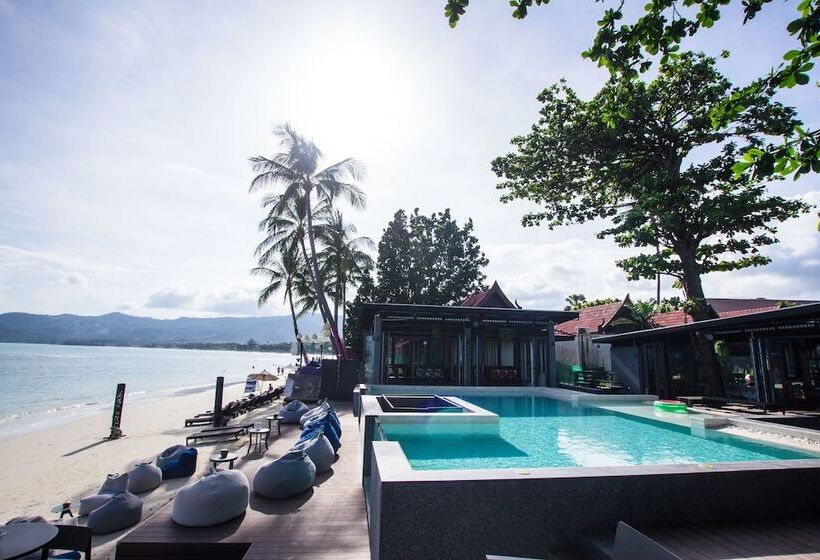 호텔 Lub D Koh Samui Chaweng Beach Beachfront & Vibrant Social Vibe