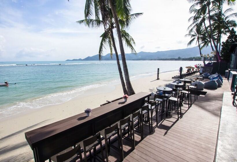 호텔 Lub D Koh Samui Chaweng Beach Beachfront & Vibrant Social Vibe