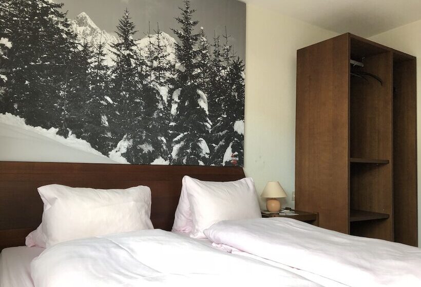 酒店 Mountain Lodge Sedrun