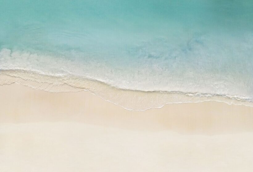 ホテル Paradisus Grand Cana   All Inclusive