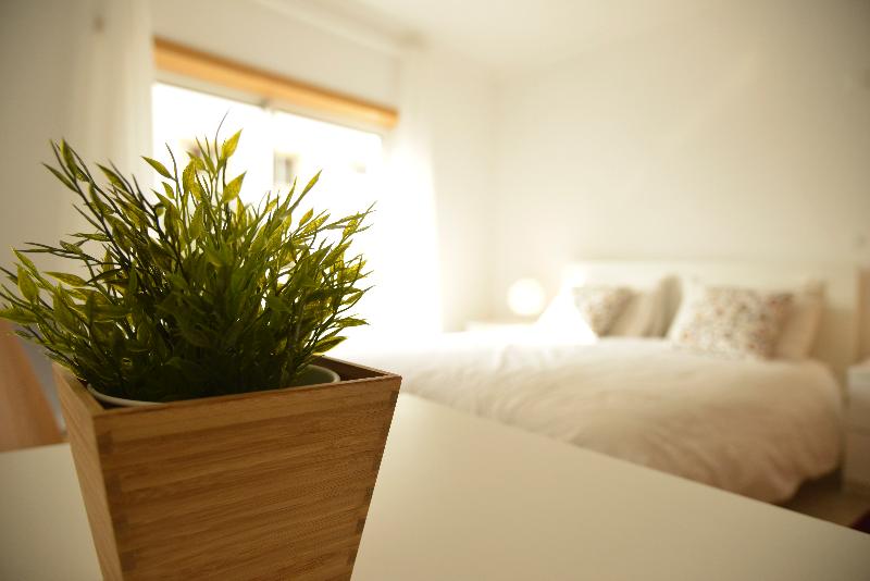 Отель Parque Dos Pastores