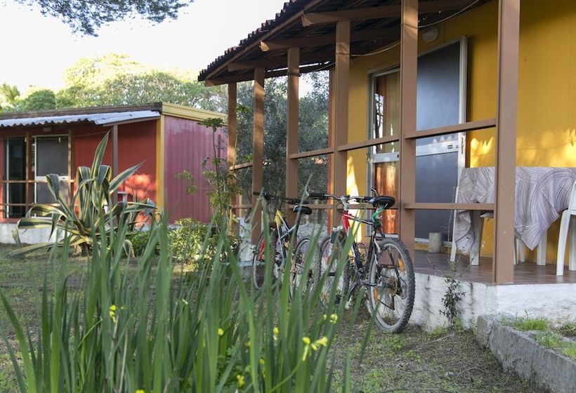 فندق Residence Sa Pintadera