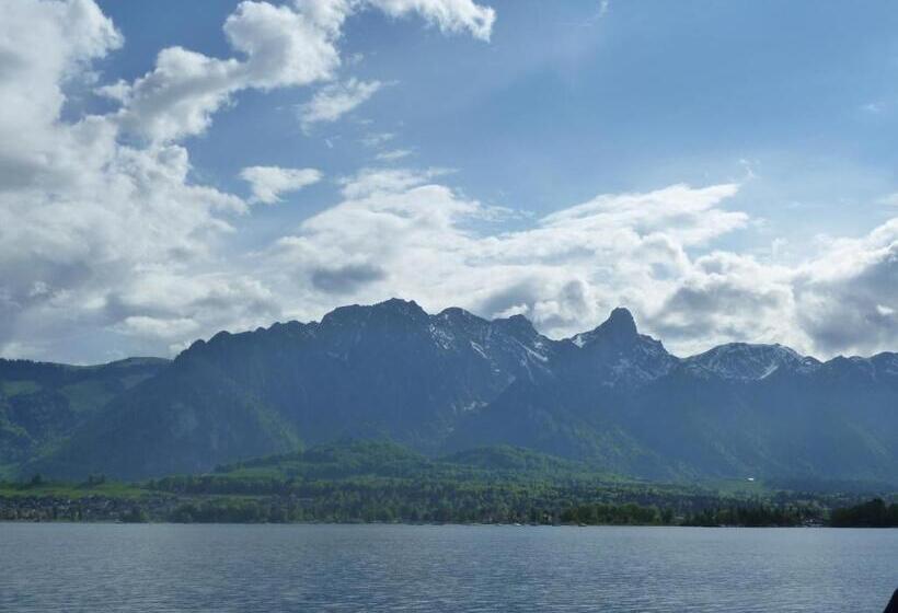 Отель Restaurant Schwert Thun