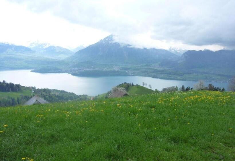 Отель Restaurant Schwert Thun