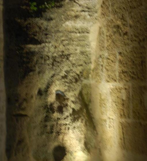 호텔 Rocaminori Hôtel