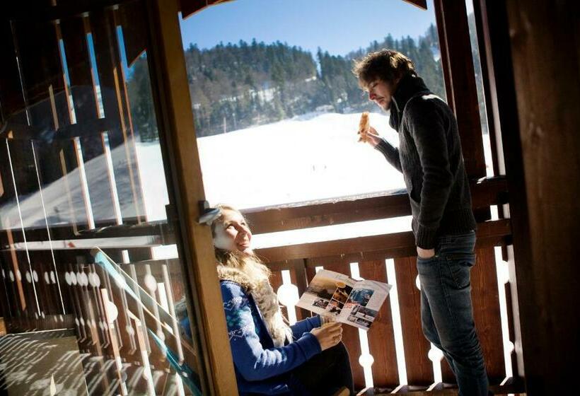 Отель Résidence Les Grandes Feignes