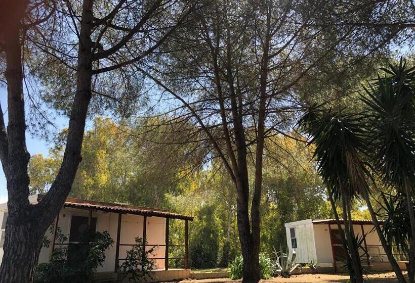 فندق Residence Sa Pintadera