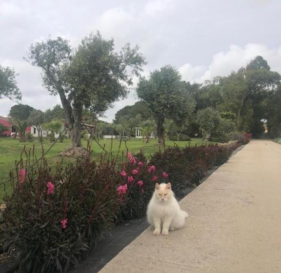 فندق Residence Sa Pintadera