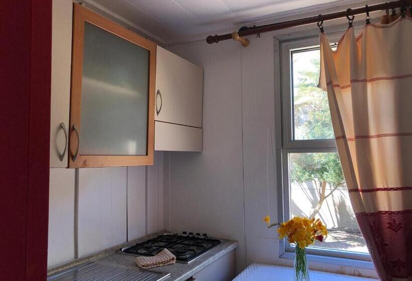 فندق Residence Sa Pintadera