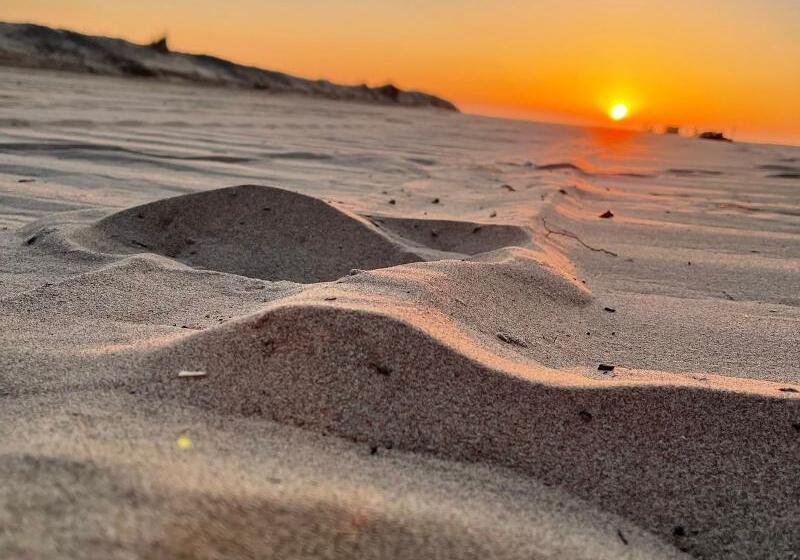 Отель Club Del Sole Spina Family Camping Village