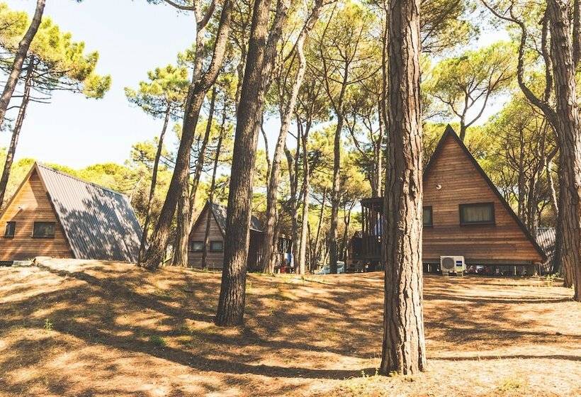 Отель Club Del Sole Spina Family Camping Village