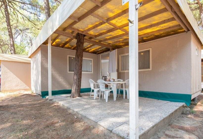 Отель Club Del Sole Spina Family Camping Village