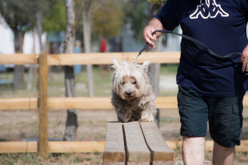 Отель Club Del Sole Spina Family Camping Village