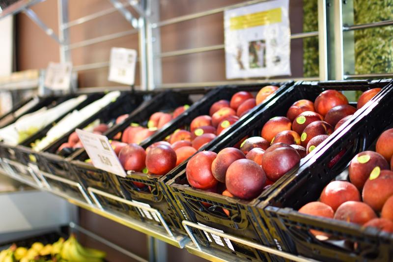 Отель Club Del Sole Spina Family Camping Village